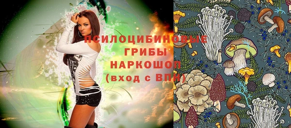 марки lsd Абаза
