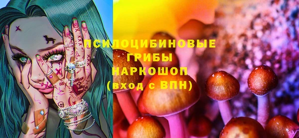 марки lsd Абаза